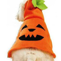 Free Dog Costume Pumpkin Pattern