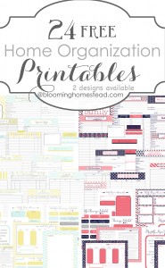 24 Free Home Organization Printables