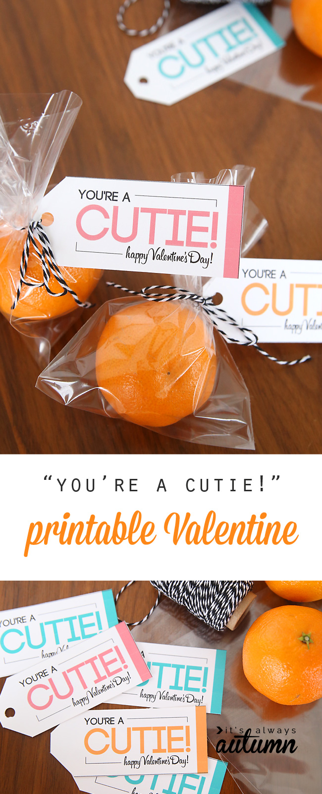 A Non-Candy HEALTHY Valentine! with a "cutie" free printable!